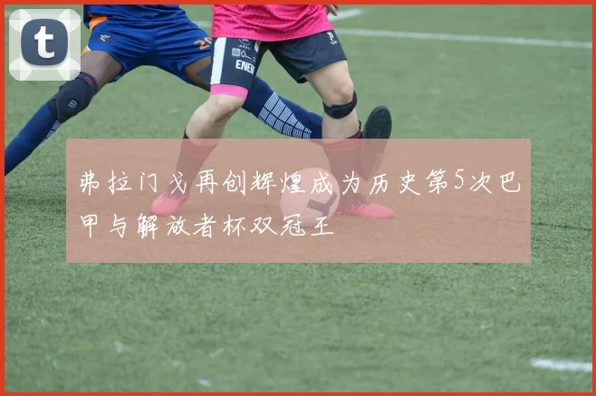 弗拉门戈再创辉煌成为历史第5次巴甲与解放者杯双冠王